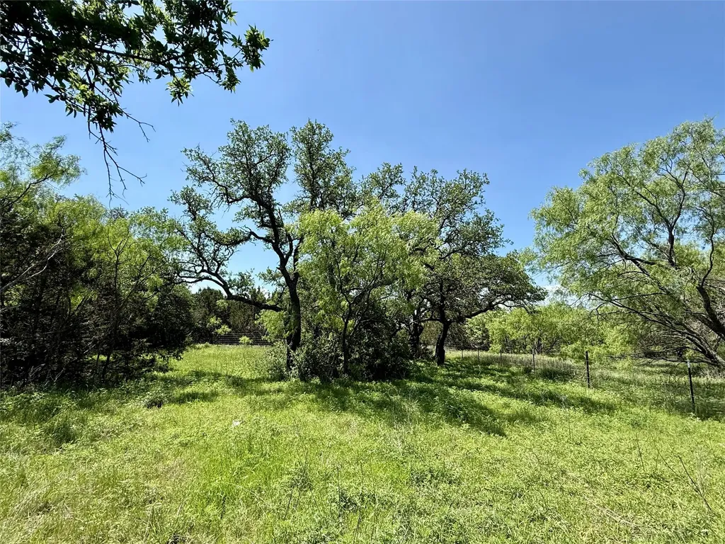 Tbd Hwy 67-377 Blanket TX 76432