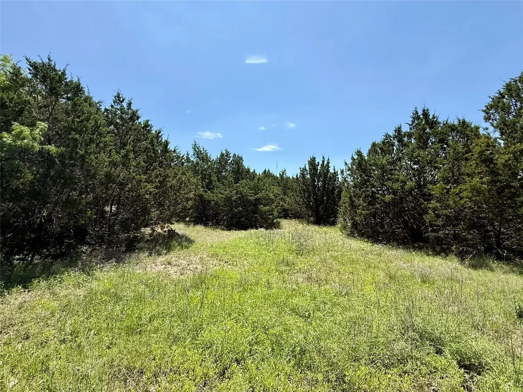 Tbd Hwy 67-377 Blanket TX 76432