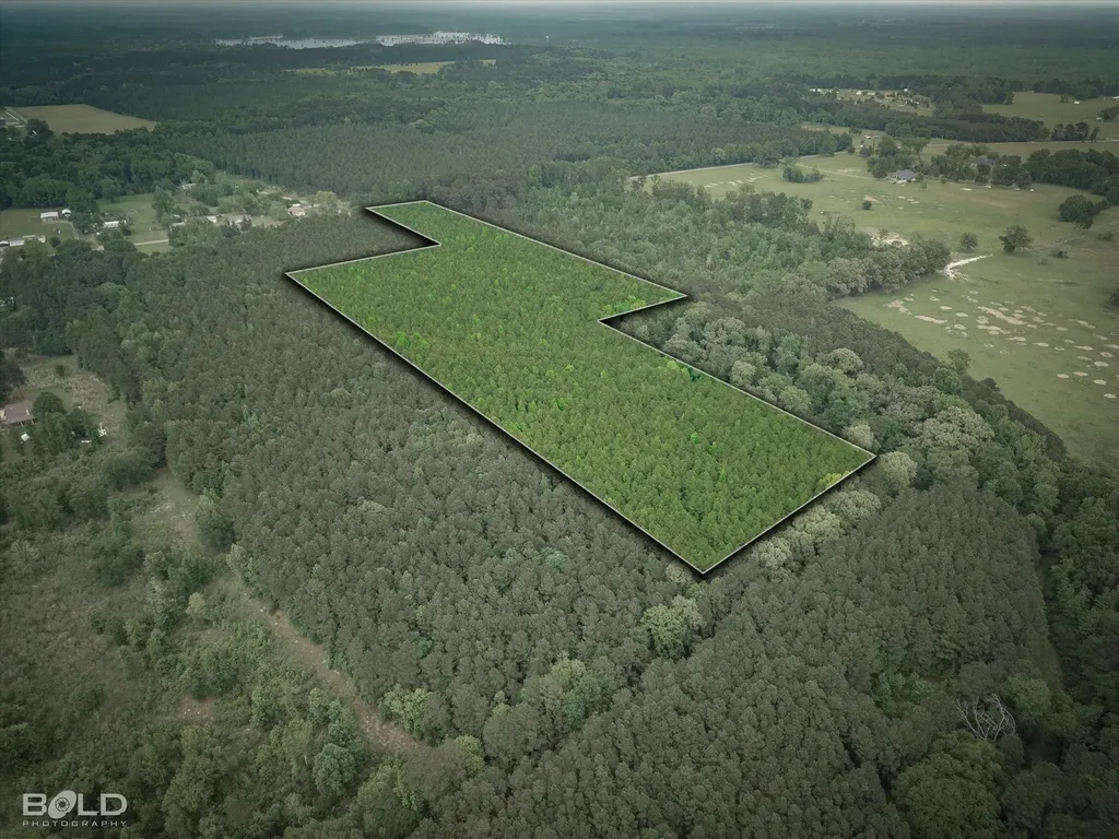0 Boothville Road Doyline LA 71023