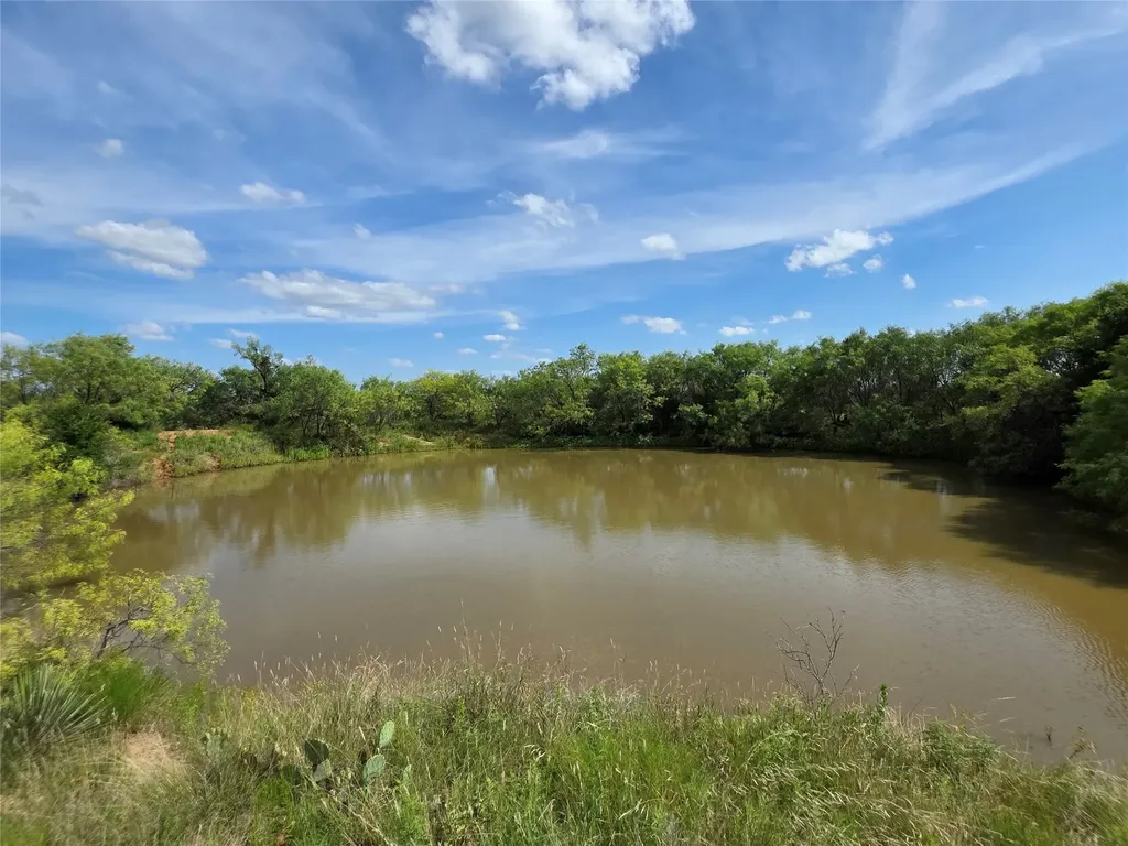 3201 County Road 612 Bangs TX 76823