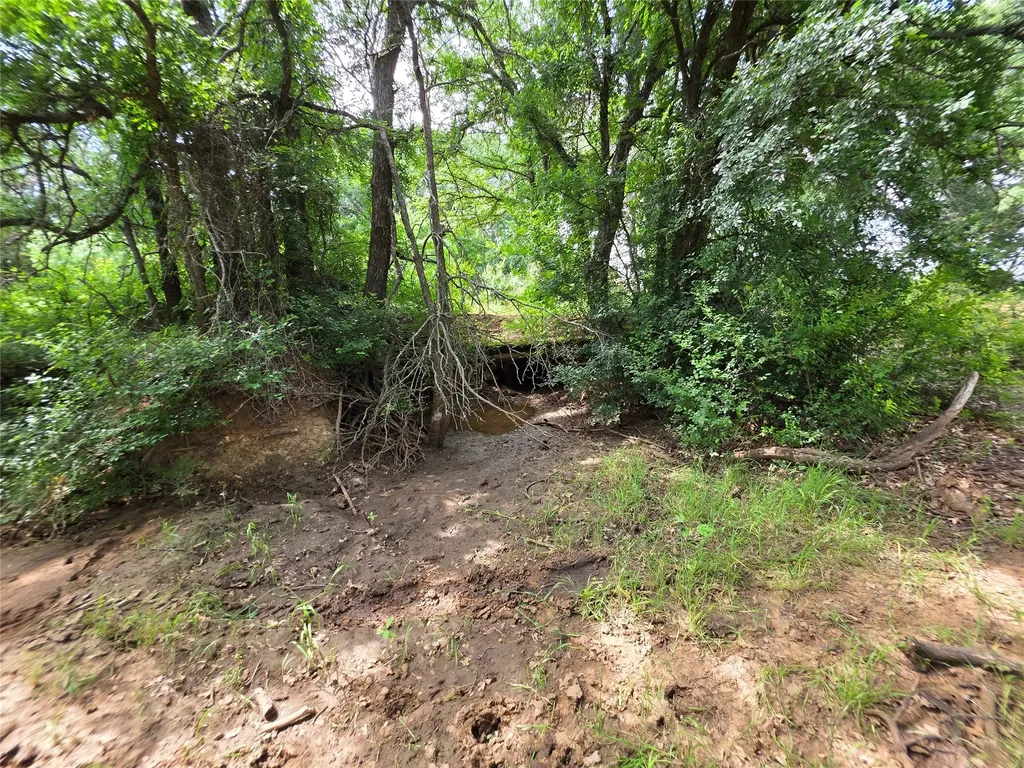 3201 County Road 612 Bangs TX 76823