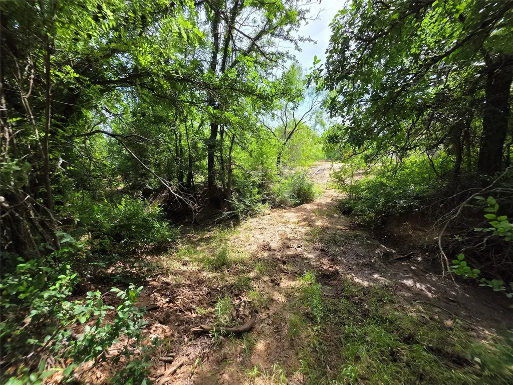 3201 County Road 612 Bangs TX 76823