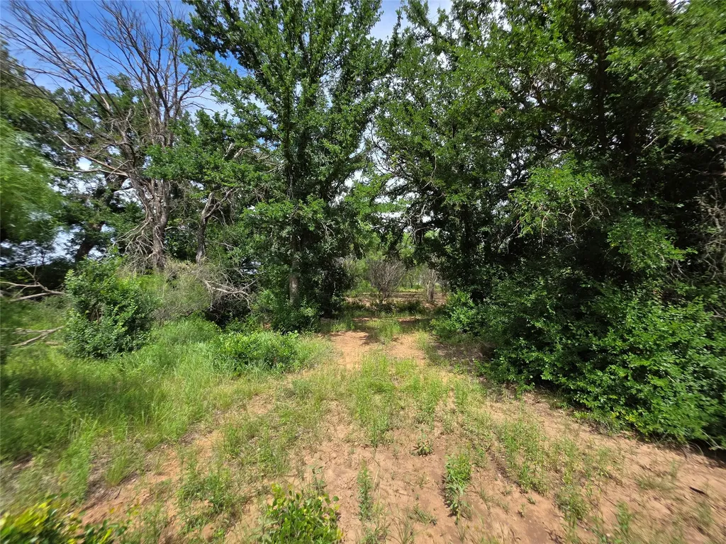 3201 County Road 612 Bangs TX 76823