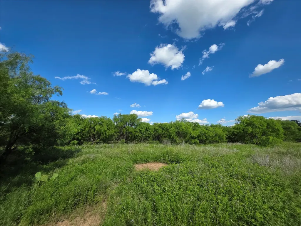 3201 County Road 612 Bangs TX 76823