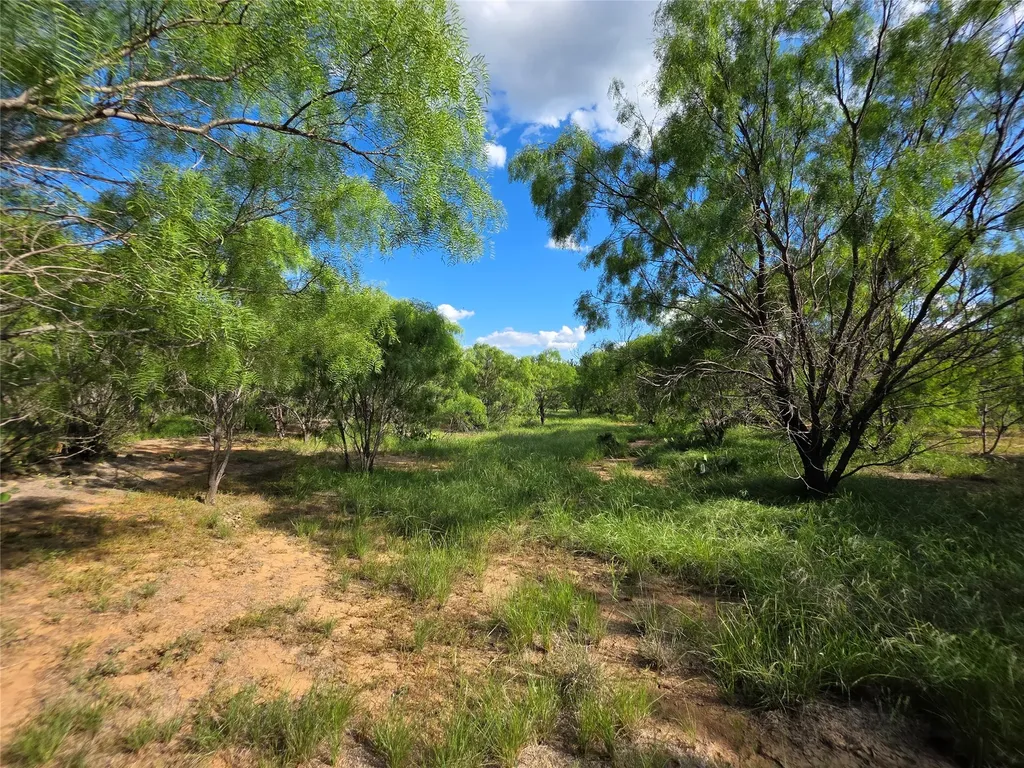 3201 County Road 612 Bangs TX 76823