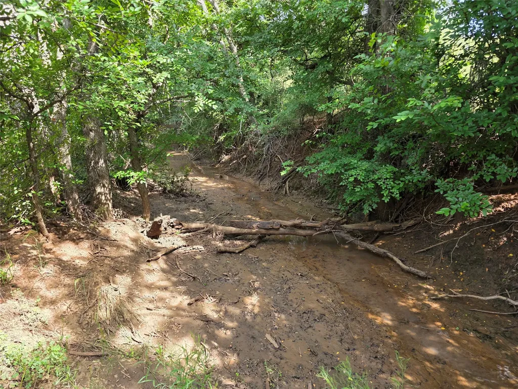 3201 County Road 612 Bangs TX 76823
