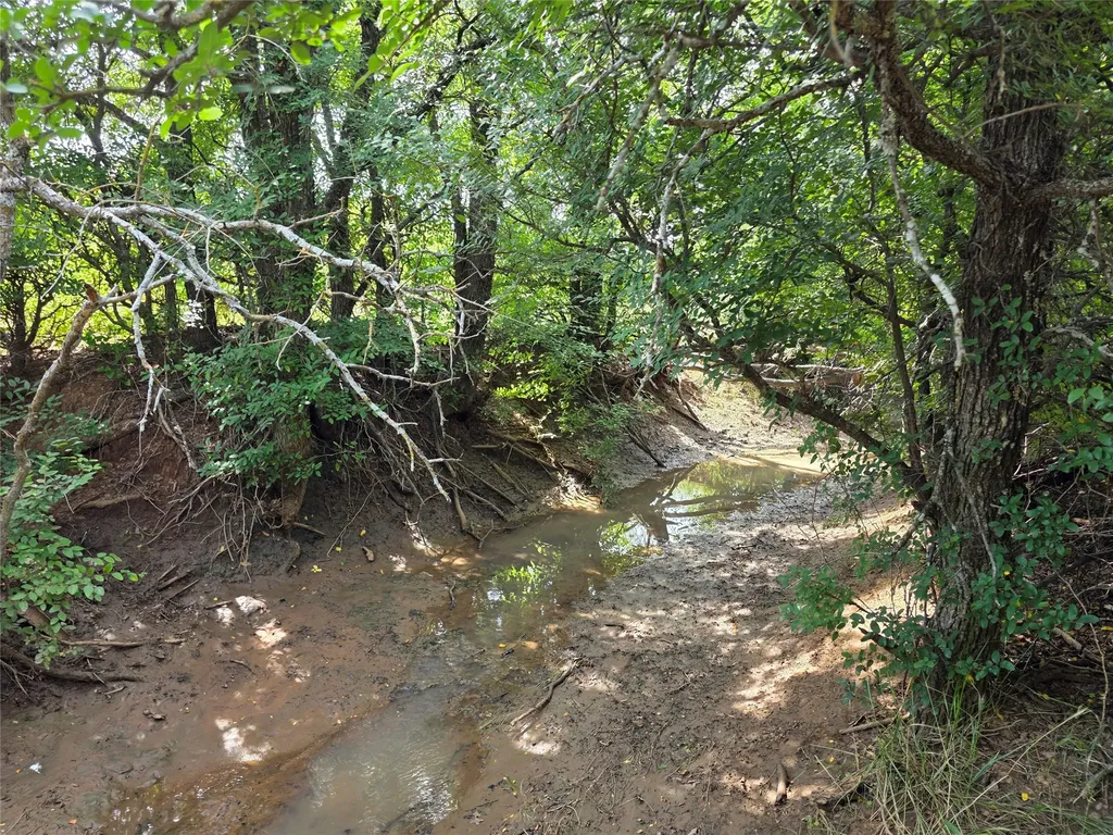 3201 County Road 612 Bangs TX 76823