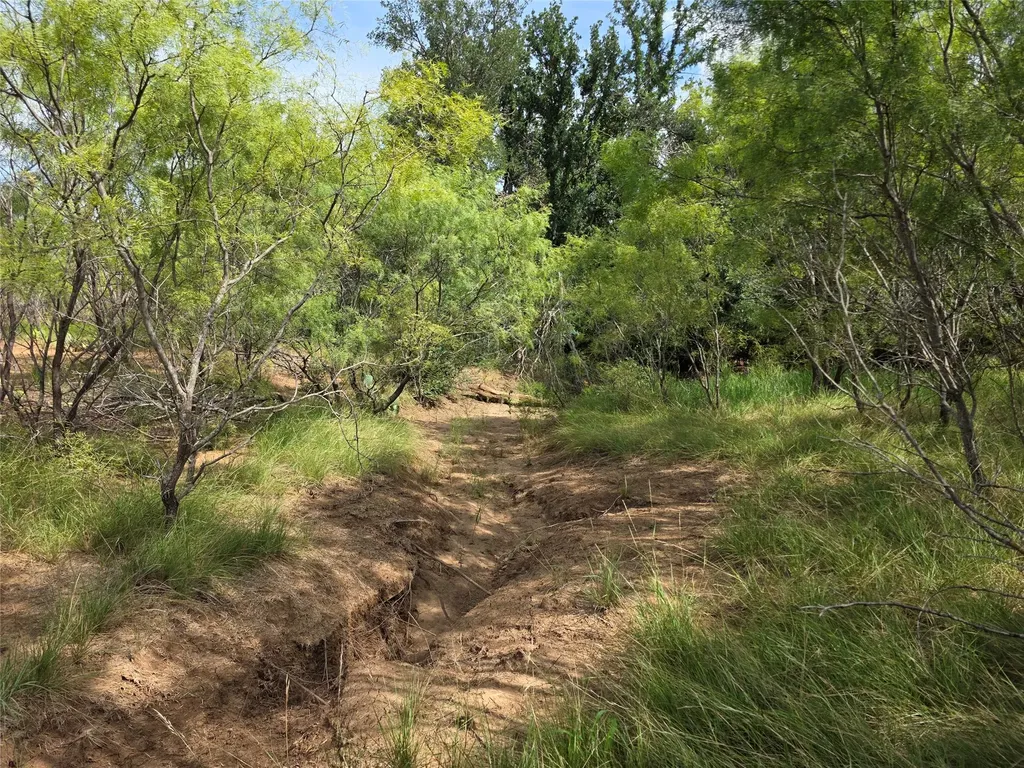 3201 County Road 612 Bangs TX 76823