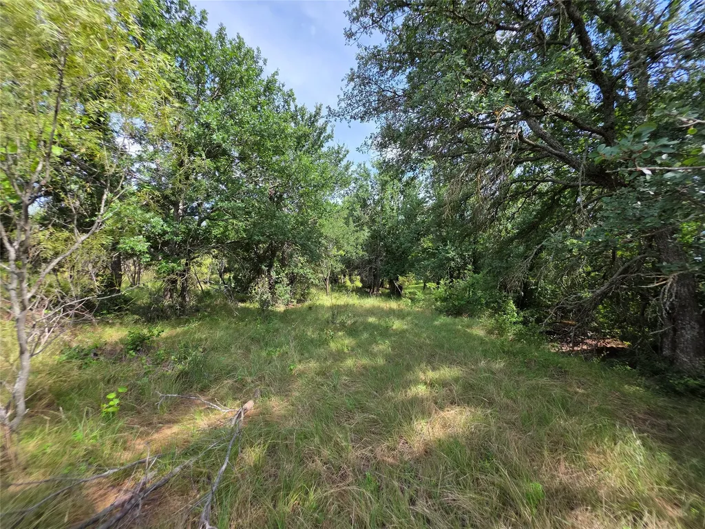 3201 County Road 612 Bangs TX 76823