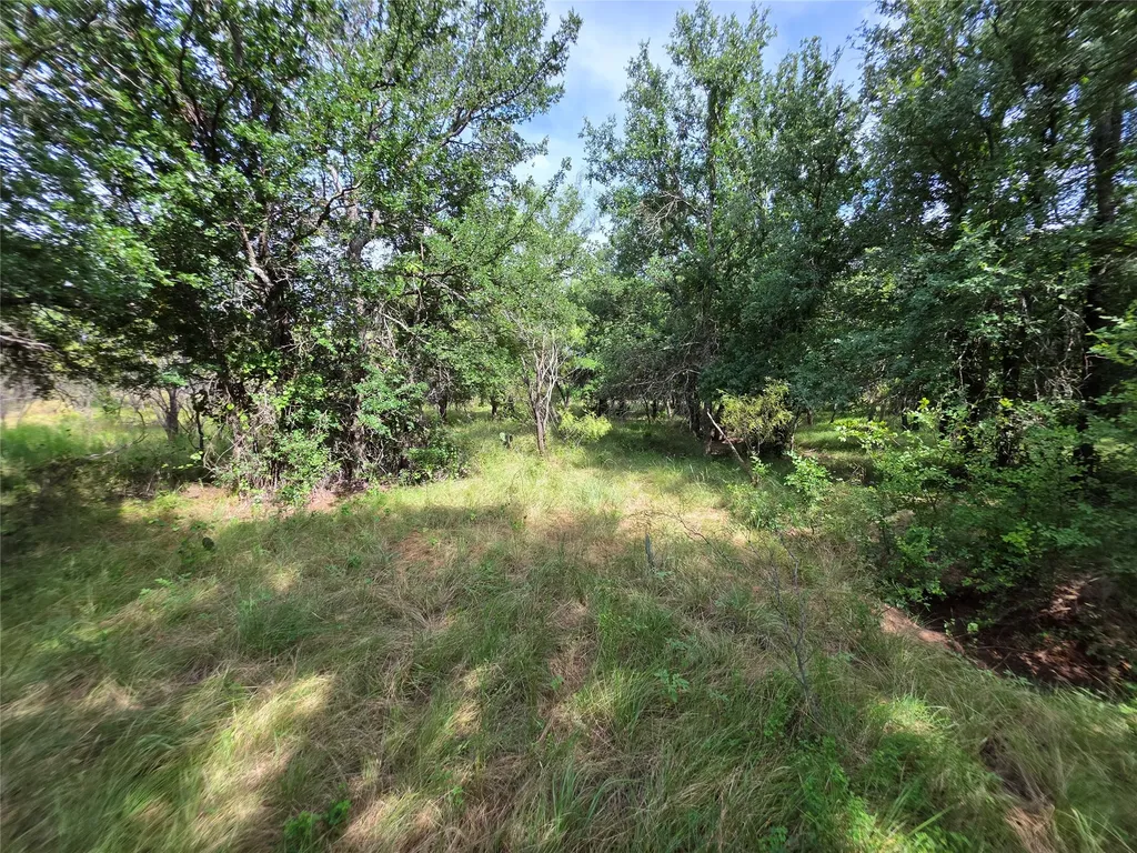 3201 County Road 612 Bangs TX 76823