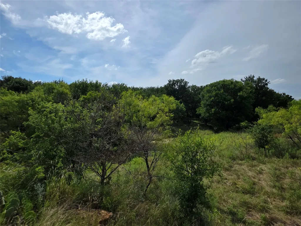 3201 County Road 612 Bangs TX 76823