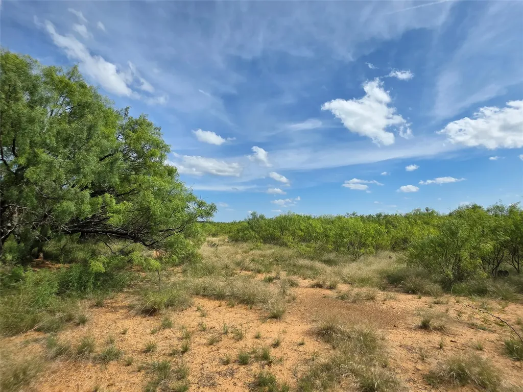 3201 County Road 612 Bangs TX 76823