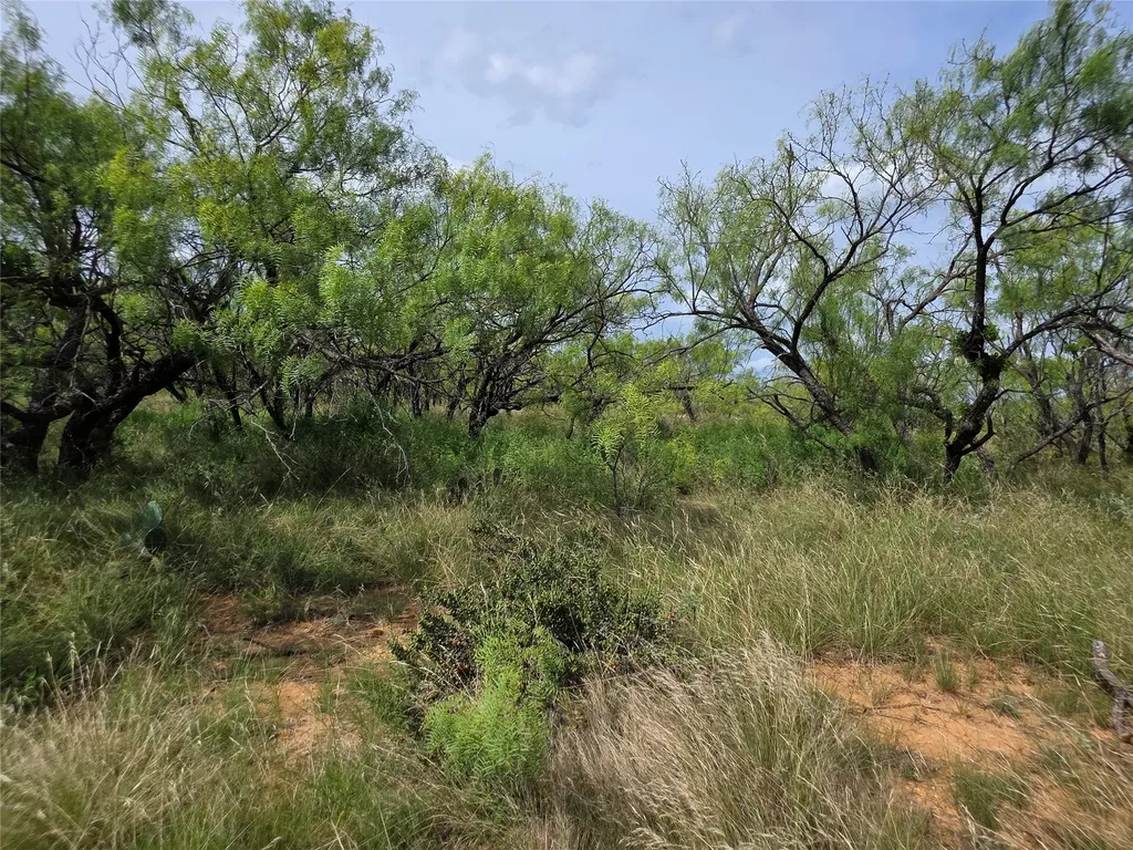 3201 County Road 612 Bangs TX 76823