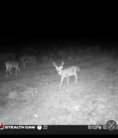 Tbd County Road 225 Rising Star TX 76471