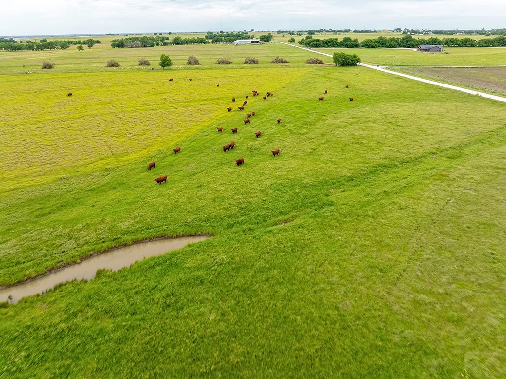 1010 County Road 382 Era TX 76238
