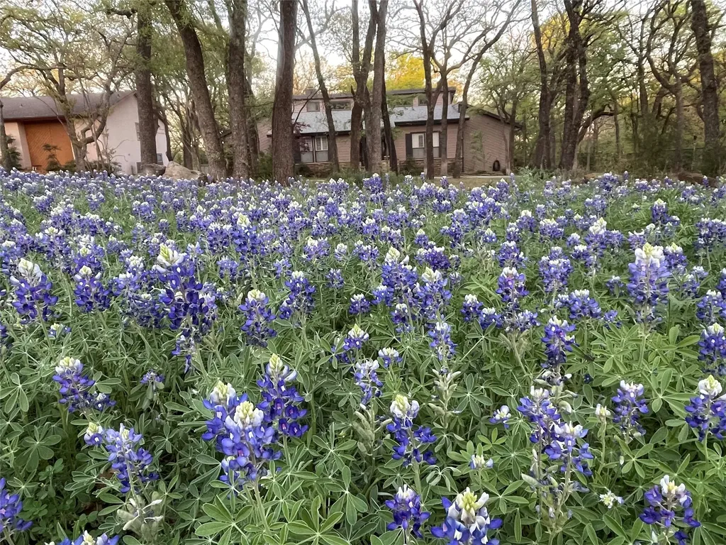 3667 Green Meadow Lane Flower Mound TX 75022