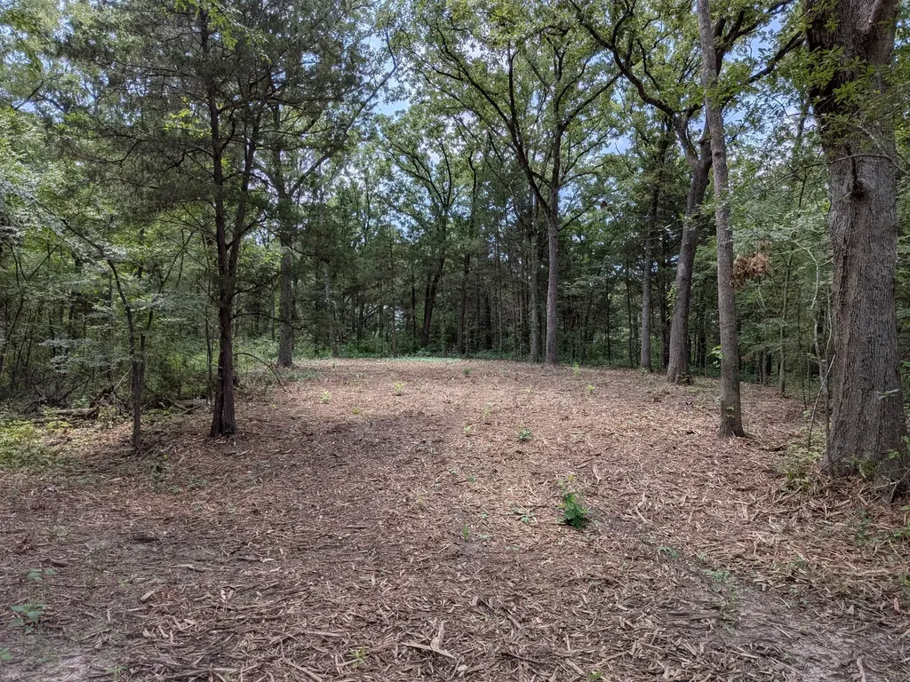 110 Vz County Road 1129 Fruitvale TX 75127