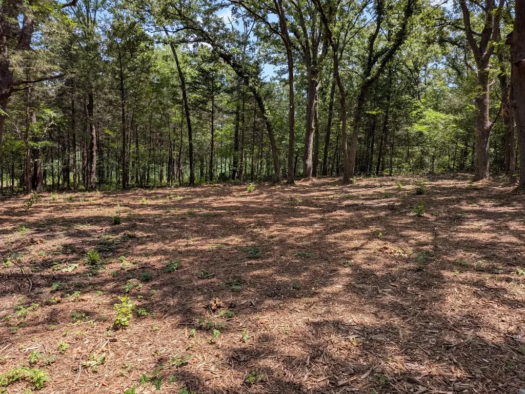 110 Vz County Road 1129 Fruitvale TX 75127