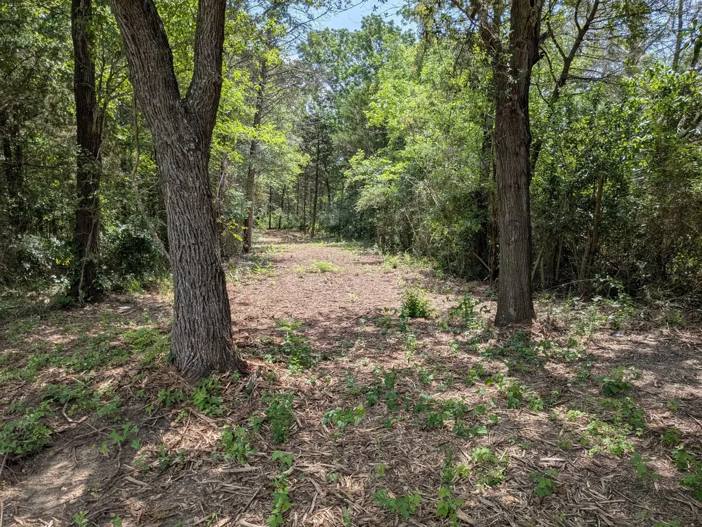 110 Vz County Road 1129 Fruitvale TX 75127