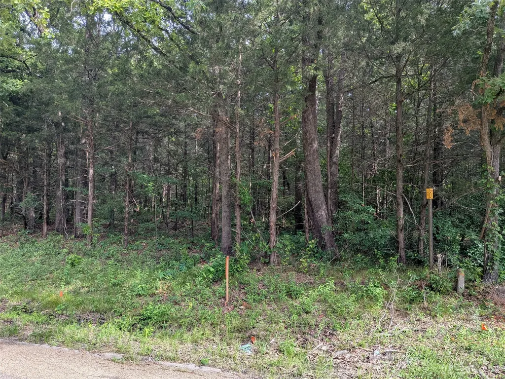 110 Vz County Road 1129 Fruitvale TX 75127