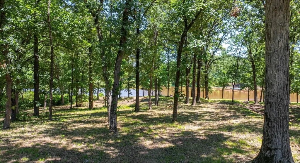 Tbd Pr 52415 Leesburg TX 75451