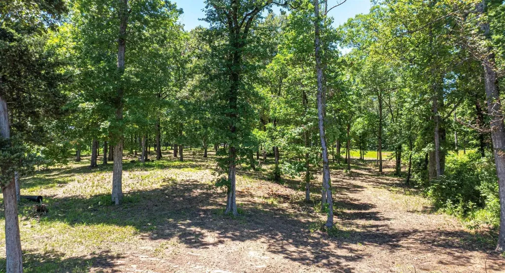 Tbd Pr 52415 Leesburg TX 75451