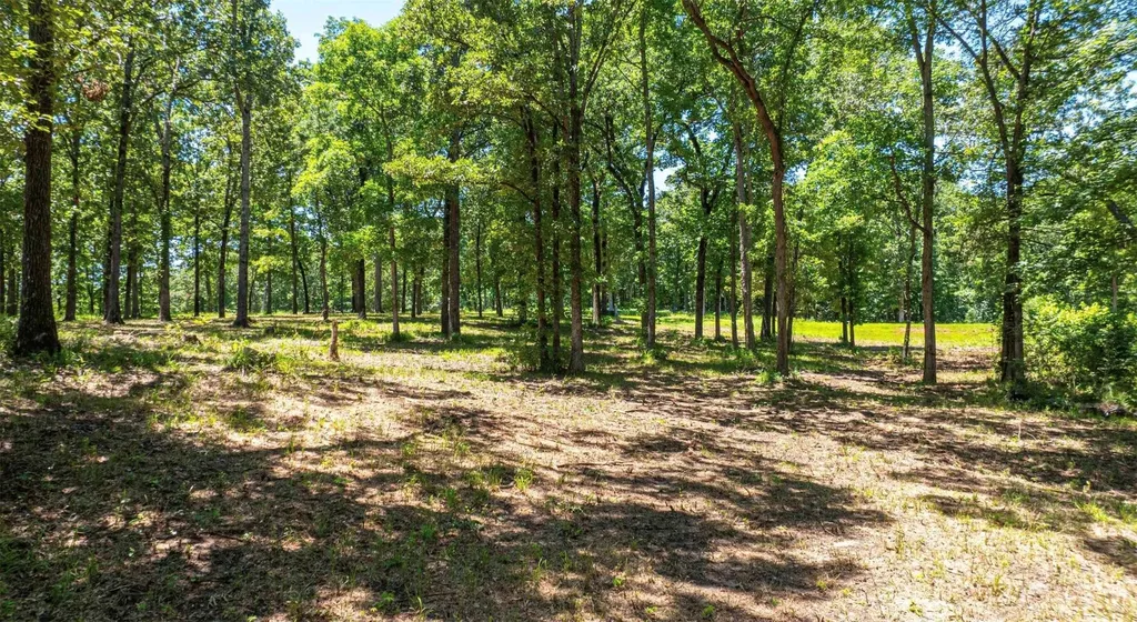 Tbd Pr 52415 Leesburg TX 75451