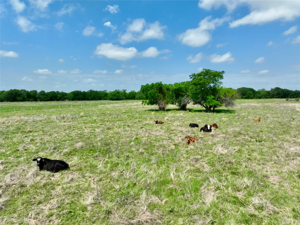 Tbd 11 Acres Fm 1183 Alma TX 75119