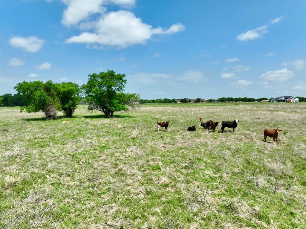 Tbd 11 Acres Fm 1183 Alma TX 75119