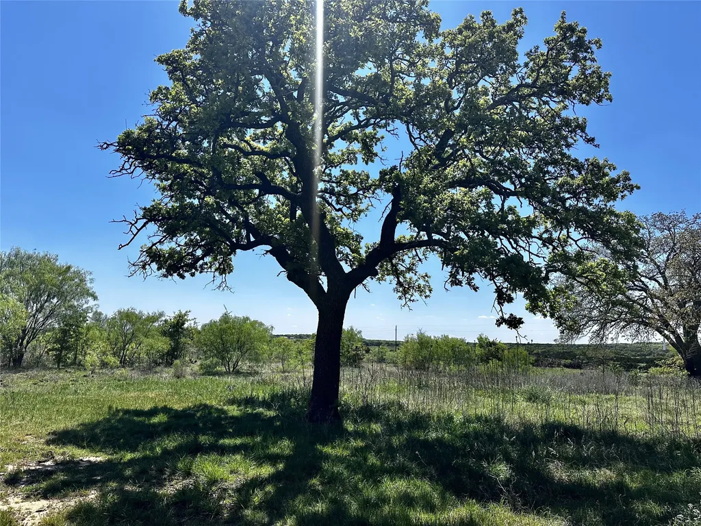 9842 Fm 2228 Baird TX 79504