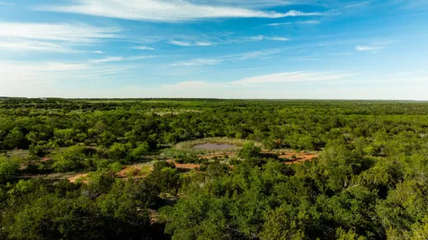 Tbd C.r. 132 Coleman TX 76834