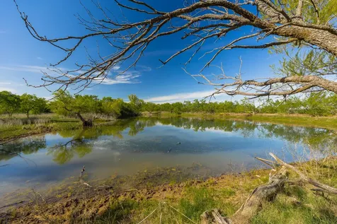 Tbd C.r. 132 Coleman TX 76834