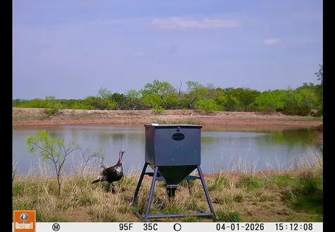 Tbd C.r. 132 Coleman TX 76834