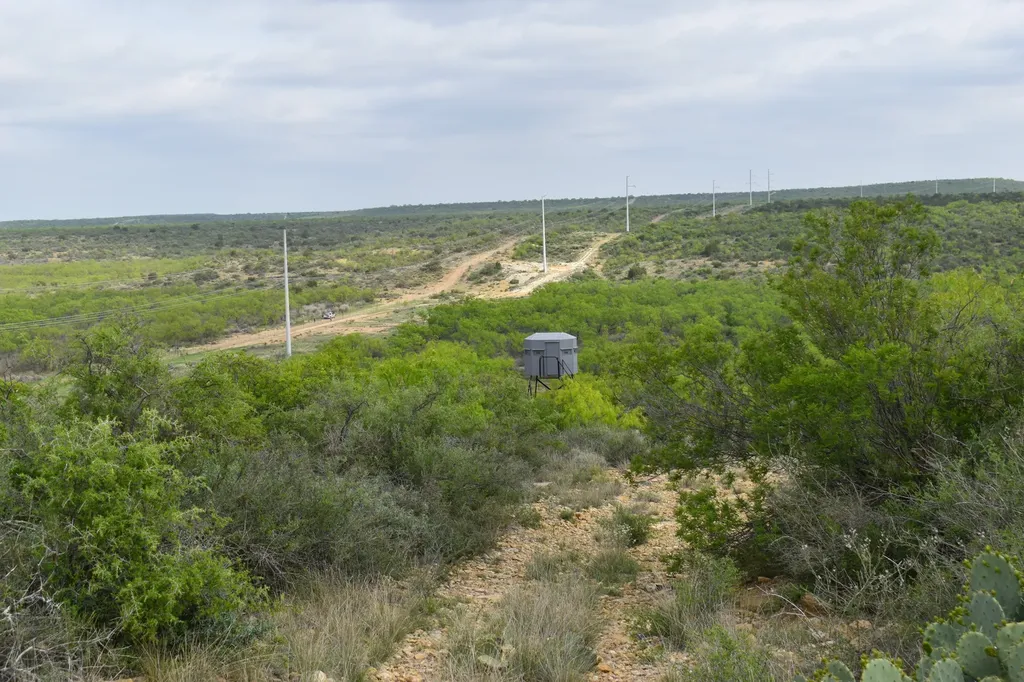 3408 Cr 312 Voss TX 76888