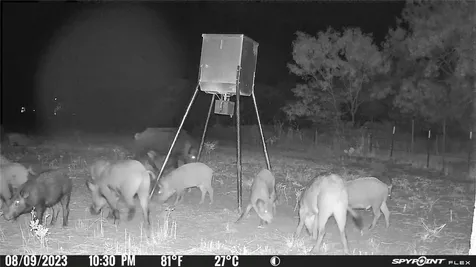 2417 Highway 569 Cisco TX 76437
