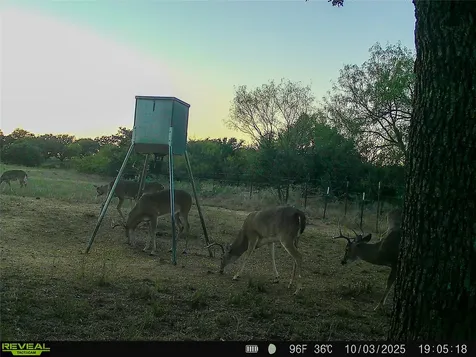 2417 Highway 569 Cisco TX 76437