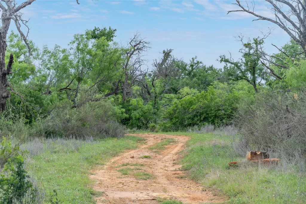 182 County Road 430 Mullin TX 76864
