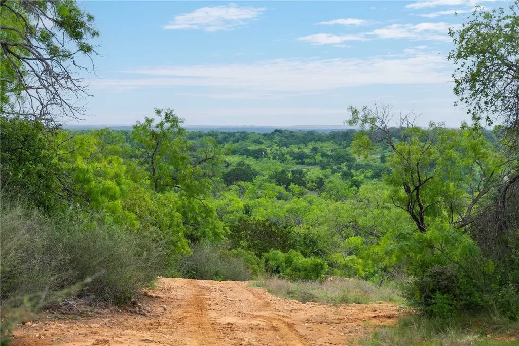182 County Road 430 Mullin TX 76864