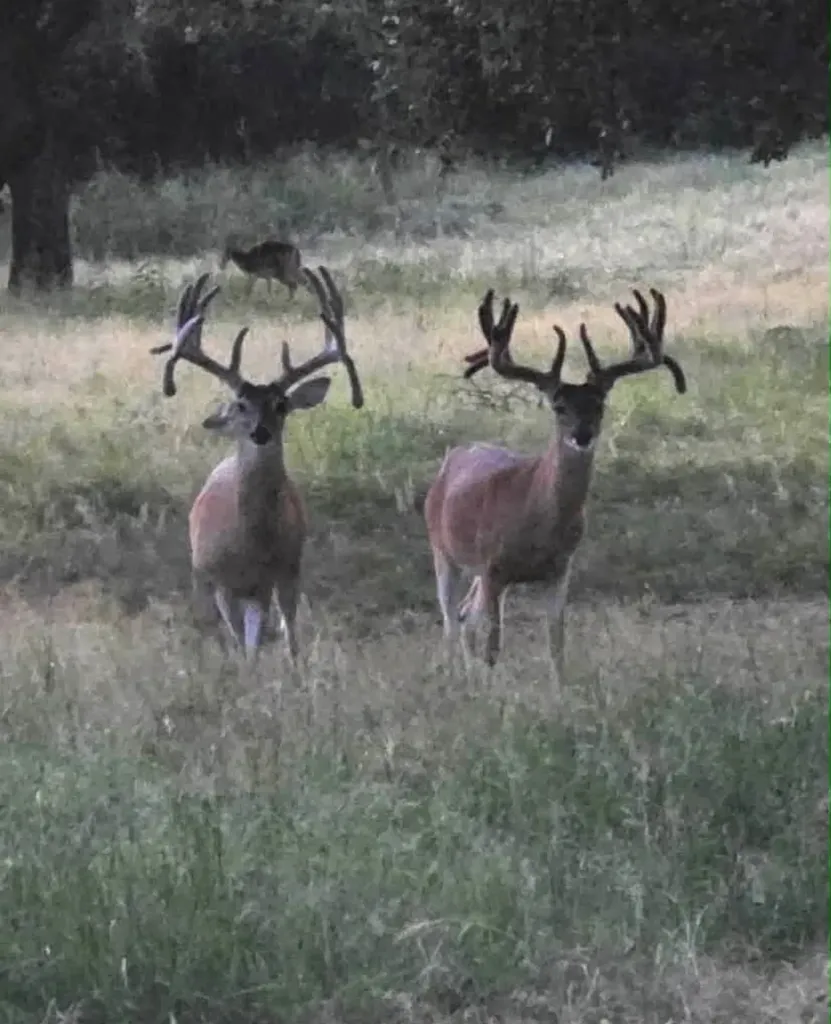 7735 Fm 502 Rochelle TX 76872