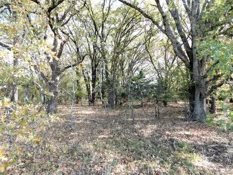 Tbd County Road 3605 Quinlan TX 75474