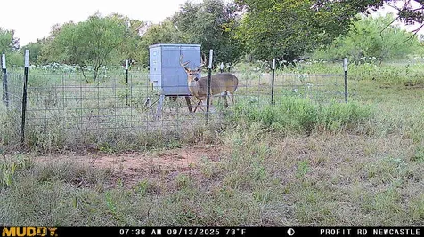 000 Proffitt Road Newcastle TX 76372