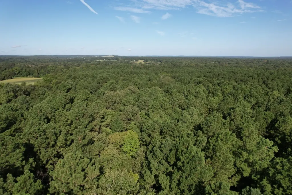 Tbd County Road 168-1 Long Branch TX 75669