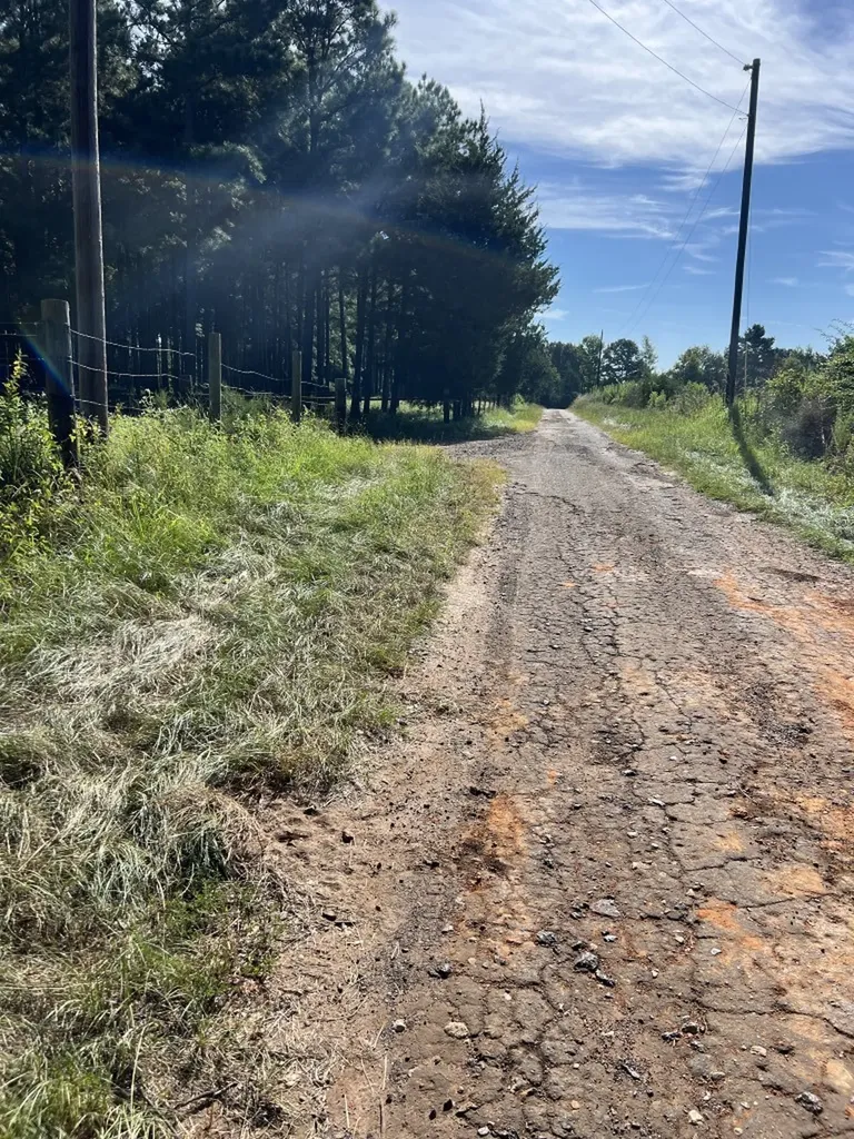 Tbd County Road 168-1 Long Branch TX 75669