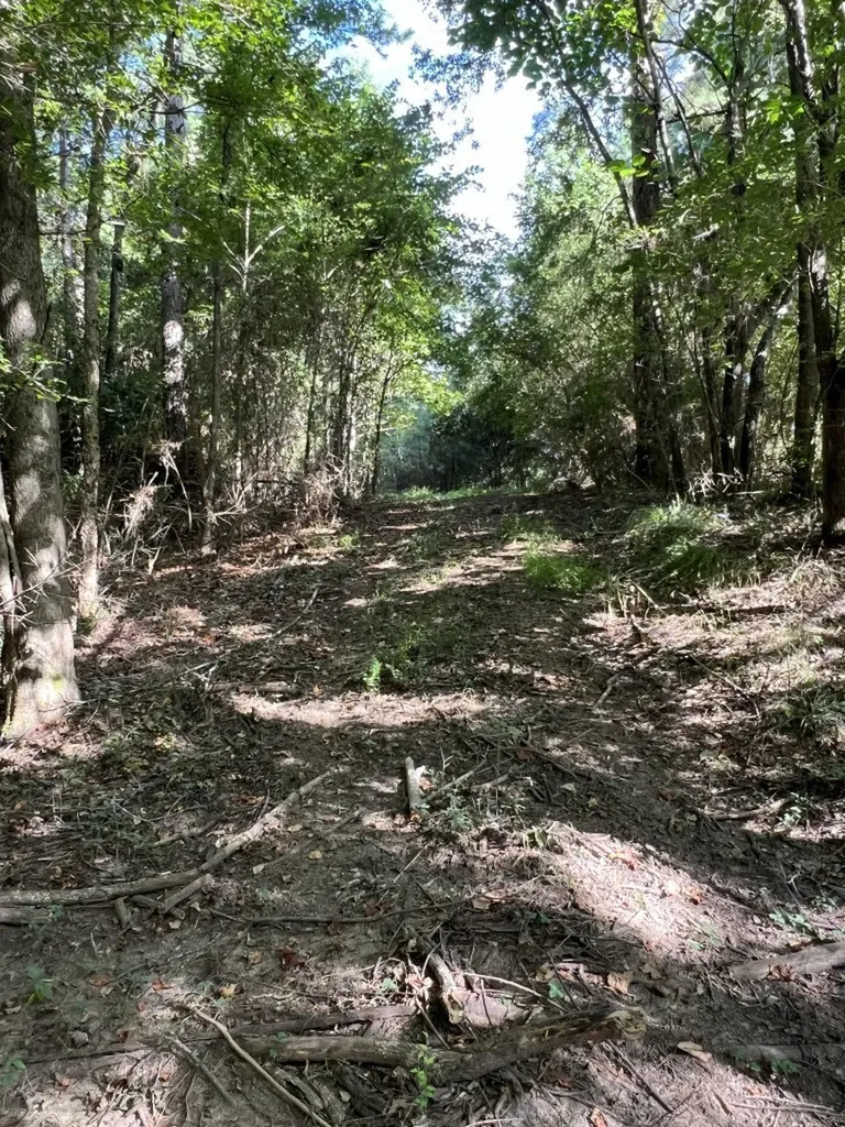 Tbd County Road 168-1 Long Branch TX 75669