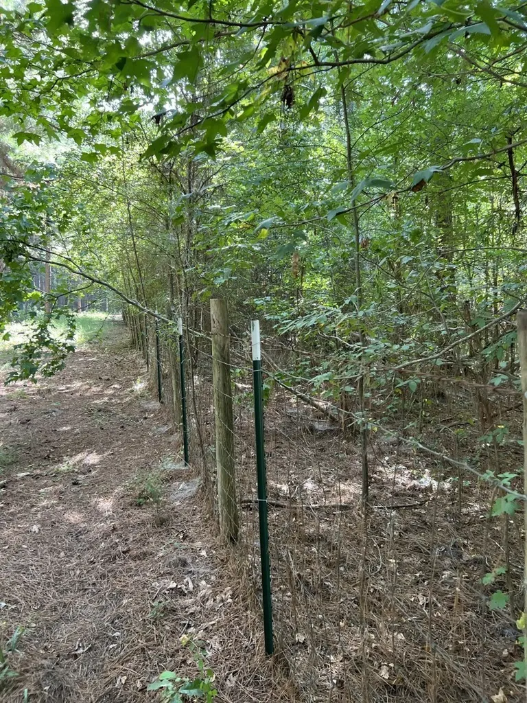 Tbd County Road 168-1 Long Branch TX 75669