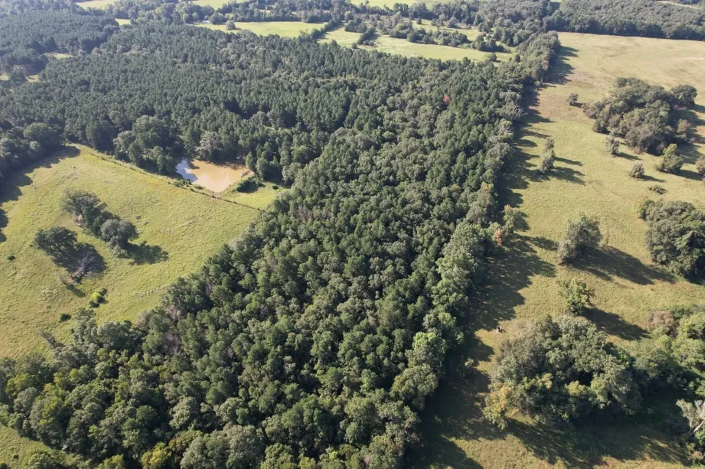 Tbd County Road 168-1 Long Branch TX 75669