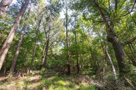 Tract 8 County Road 4221 Frankston TX 75763