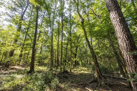 Tract 8 County Road 4221 Frankston TX 75763