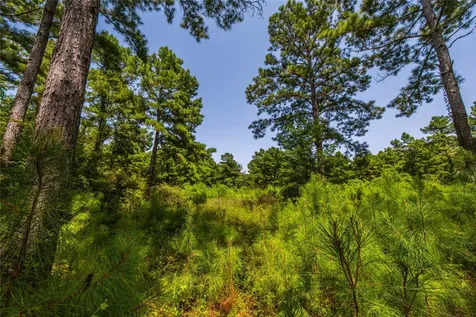 Tract 7 County Road 4221 Frankston TX 75763