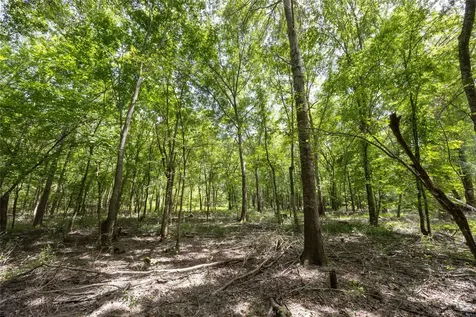 Tract 7 County Road 4221 Frankston TX 75763